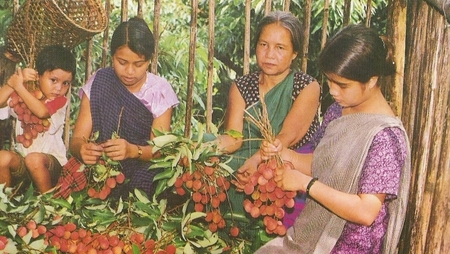 Khasi women with their harvest, North India